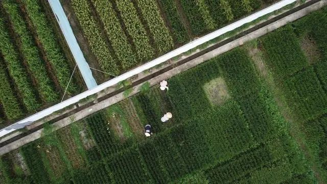 1645837885198012.png 微信图片_20220226090718.png